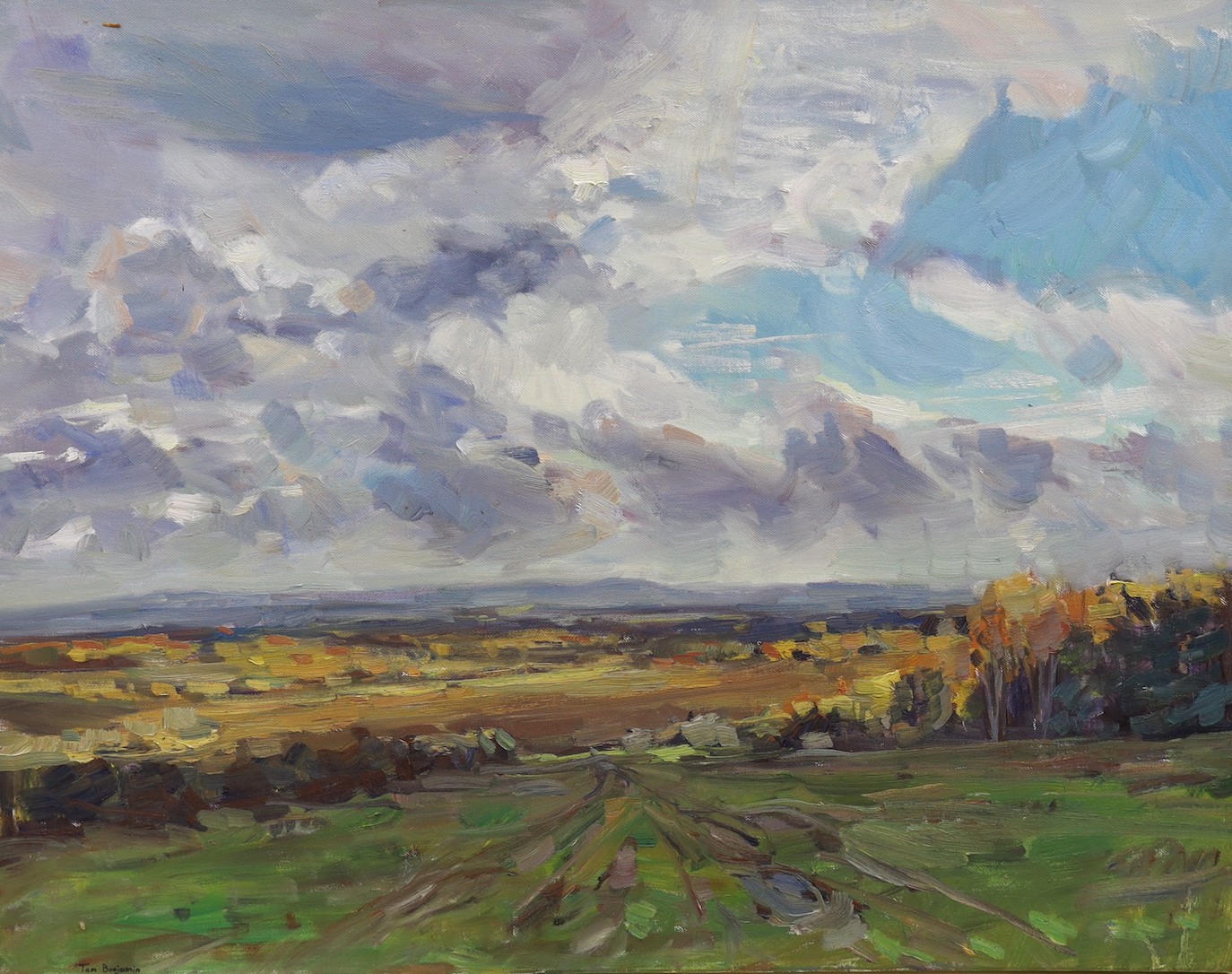 Tom Benjamin (b.1967), oil on canvas, 'Ashdown Forest, Autumn', signed, 60 x 76cm